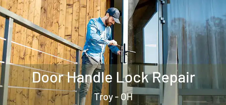 Door Handle Lock Repair Troy - OH
