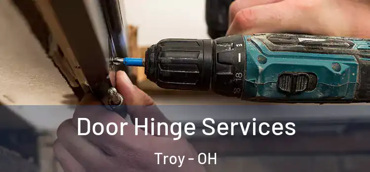 Door Hinge Services Troy - OH