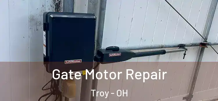 Gate Motor Repair Troy - OH