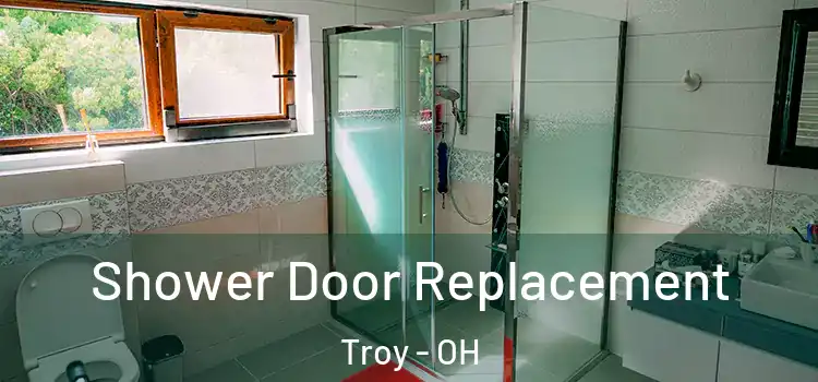 Shower Door Replacement Troy - OH